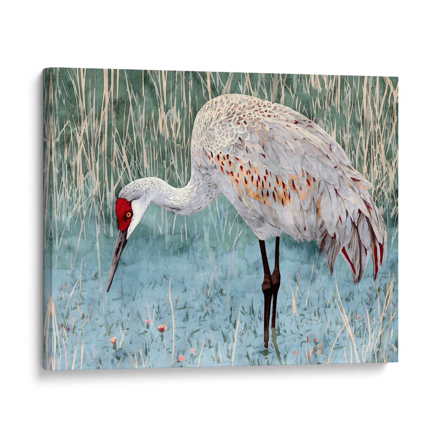 Sandhill Crane Watercolor Print
