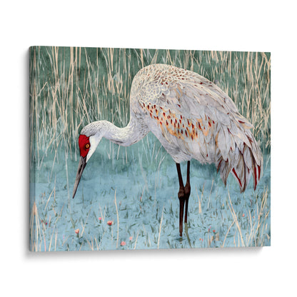 Sandhill Crane Watercolor Print