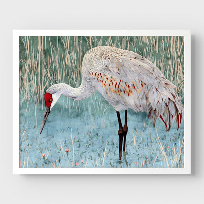 Sandhill Crane Watercolor Print