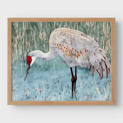 Sandhill Crane Watercolor Print