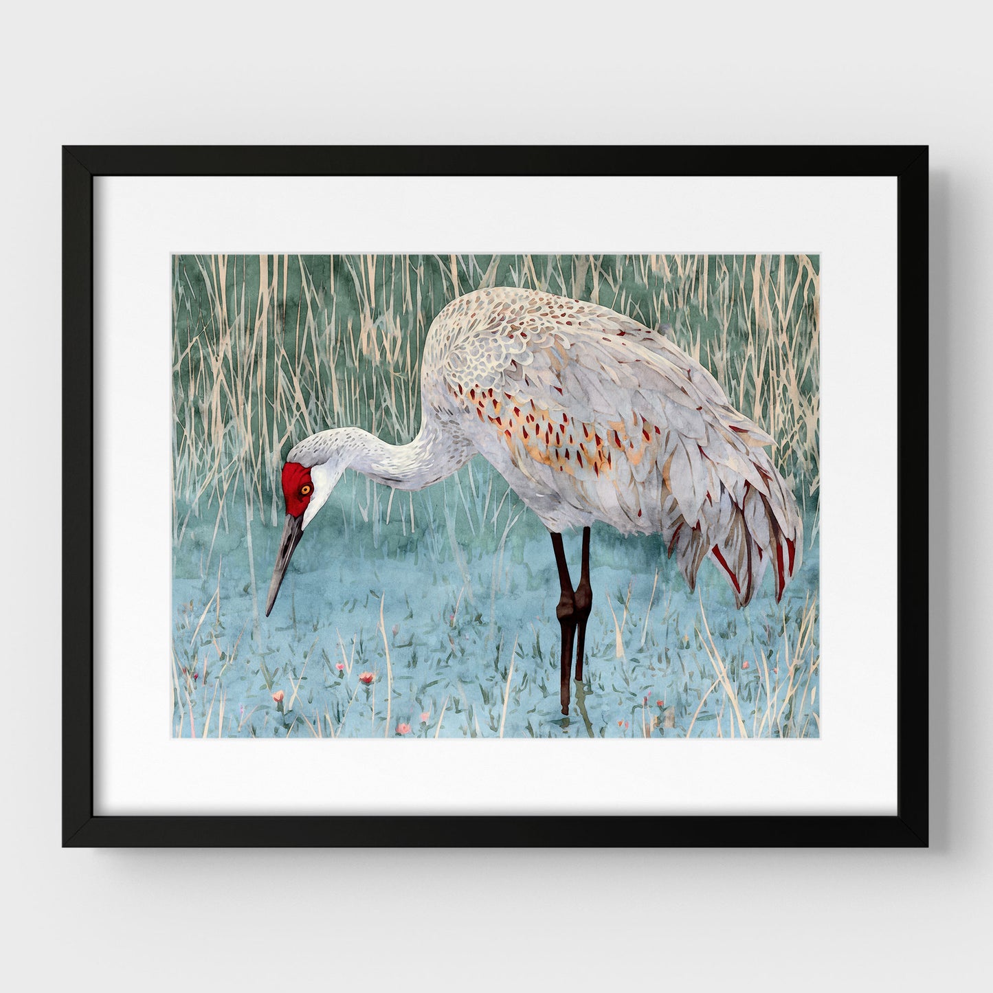 Sandhill Crane Watercolor Print