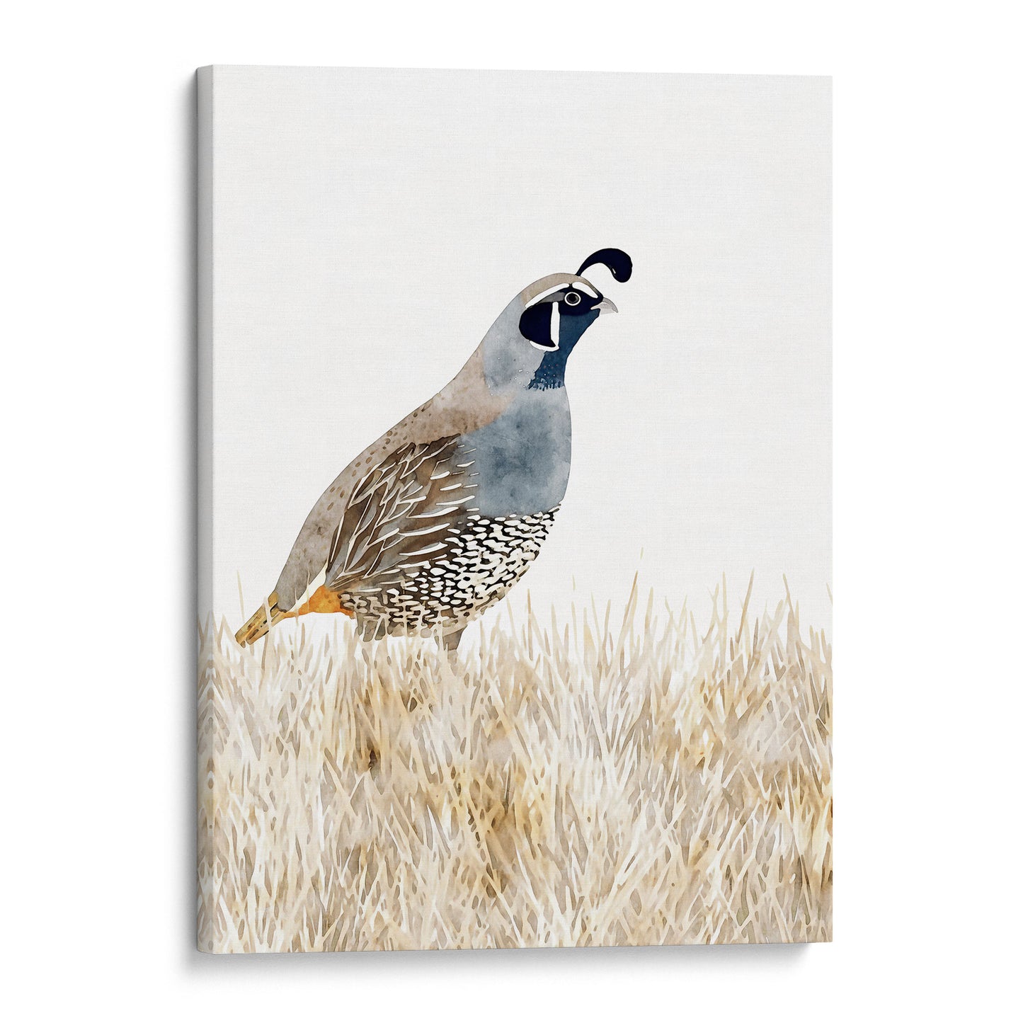 California Quail Minimalist Watercolor Print