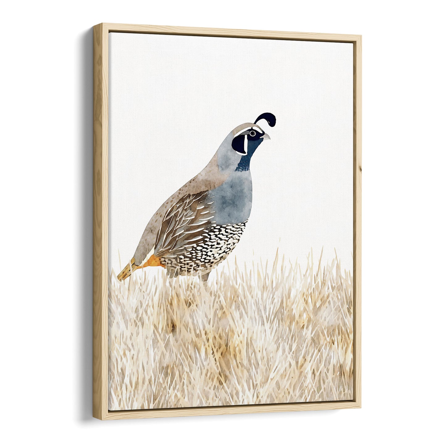 California Quail Minimalist Watercolor Print