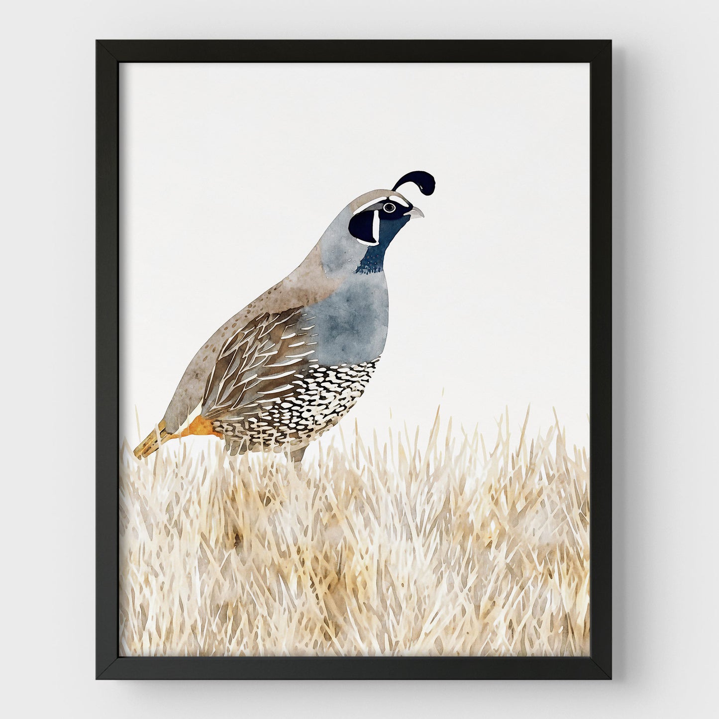 California Quail Minimalist Watercolor Print