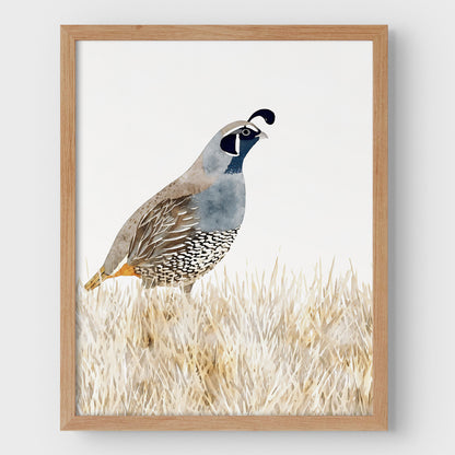 California Quail Minimalist Watercolor Print