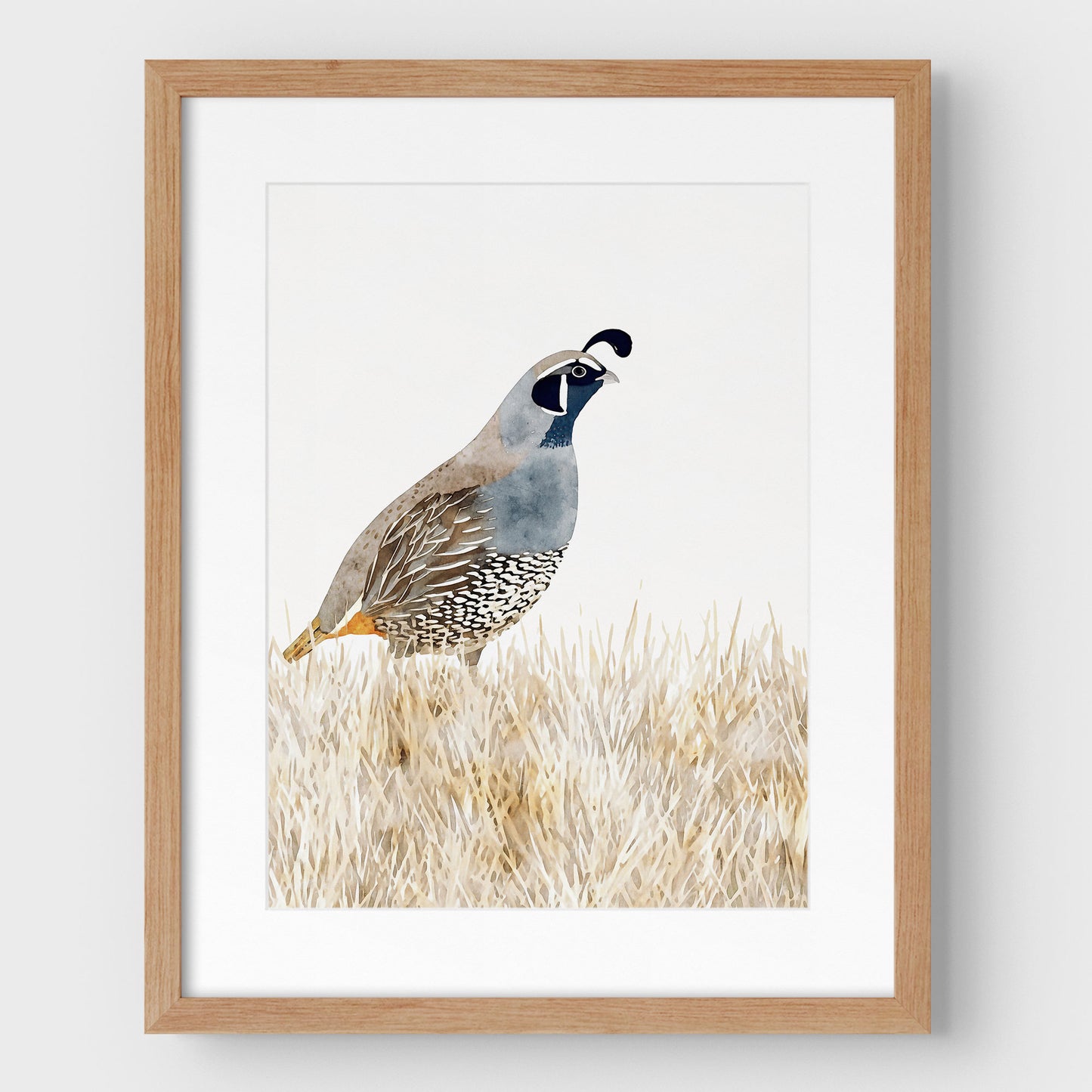 California Quail Minimalist Watercolor Print