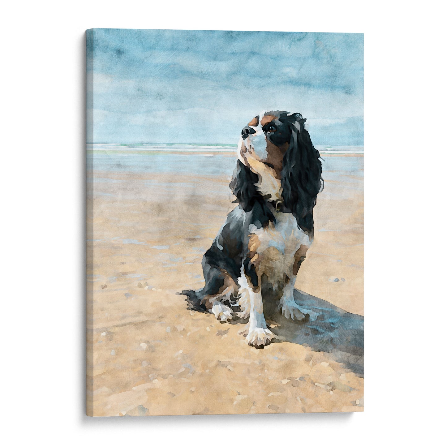 Canvas print of a tricolor King Charles spaniel on a beach with a blue sky.