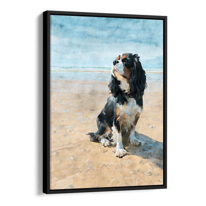 Black float framed canvas print of a tricolor Cavalier King Charles spaniel on a beach