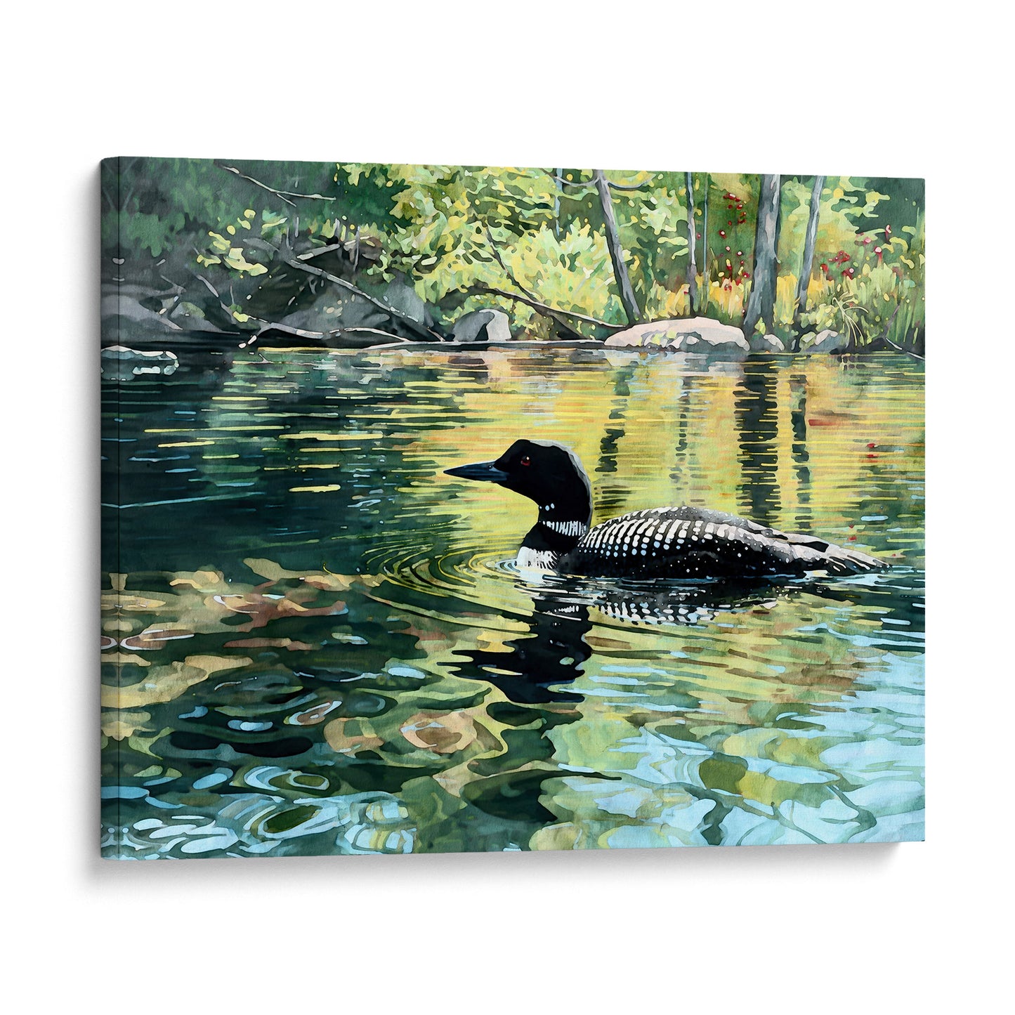 Common Loon Swimming in a Lake Art Print