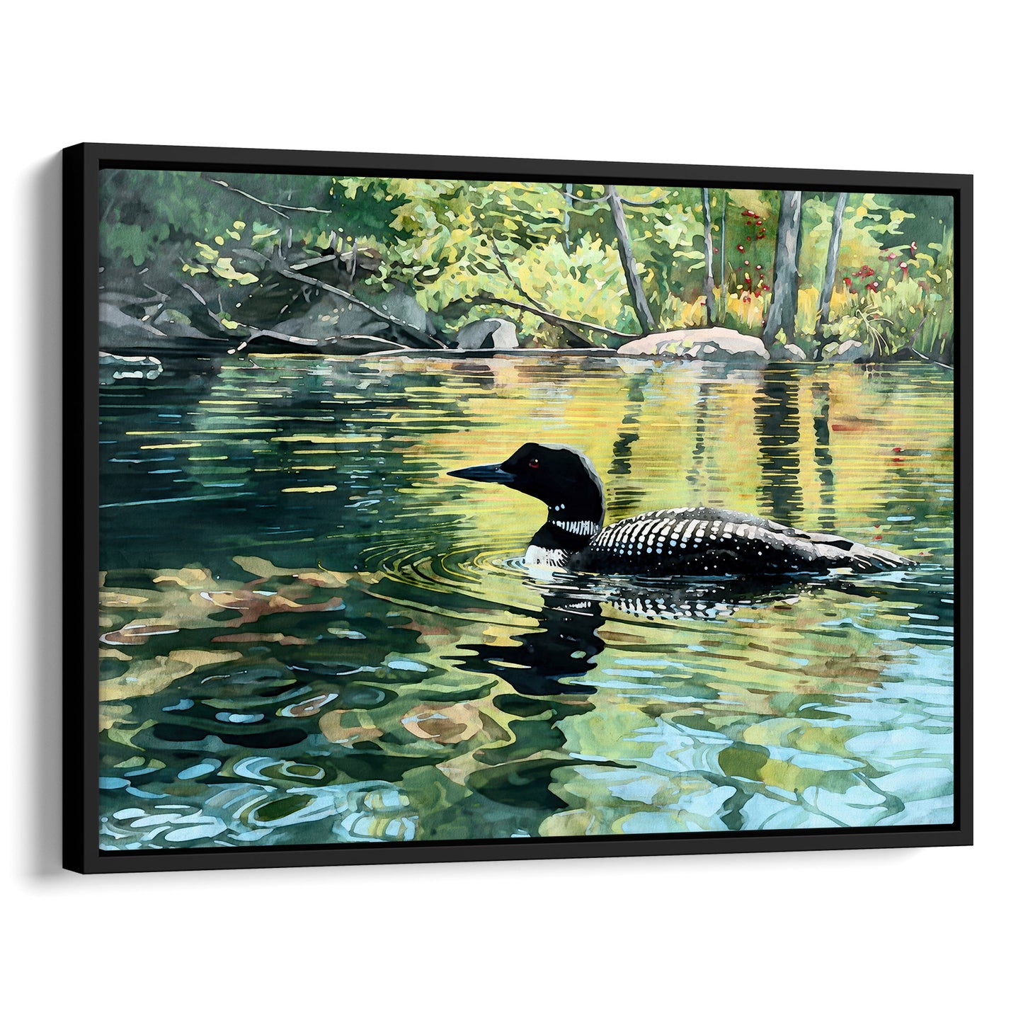 Common Loon Swimming in a Lake Art Print