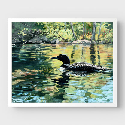 Common Loon Swimming in a Lake Art Print