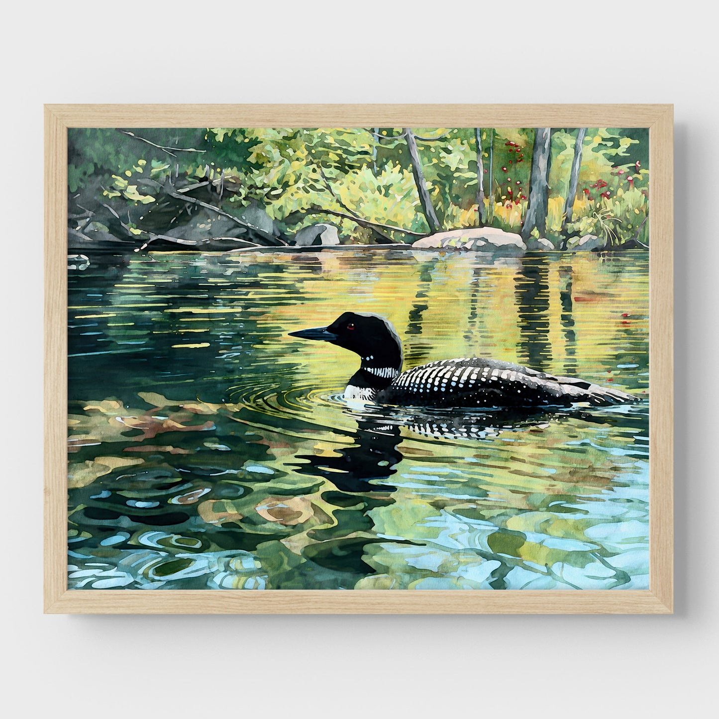 Common Loon Swimming in a Lake Art Print