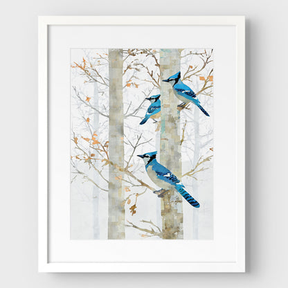 Blue Jay in Birch Forest Art Print