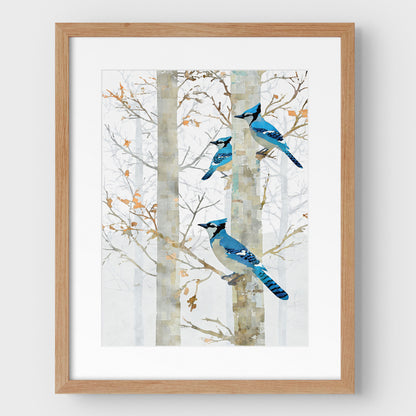 Blue Jay in Birch Forest Art Print