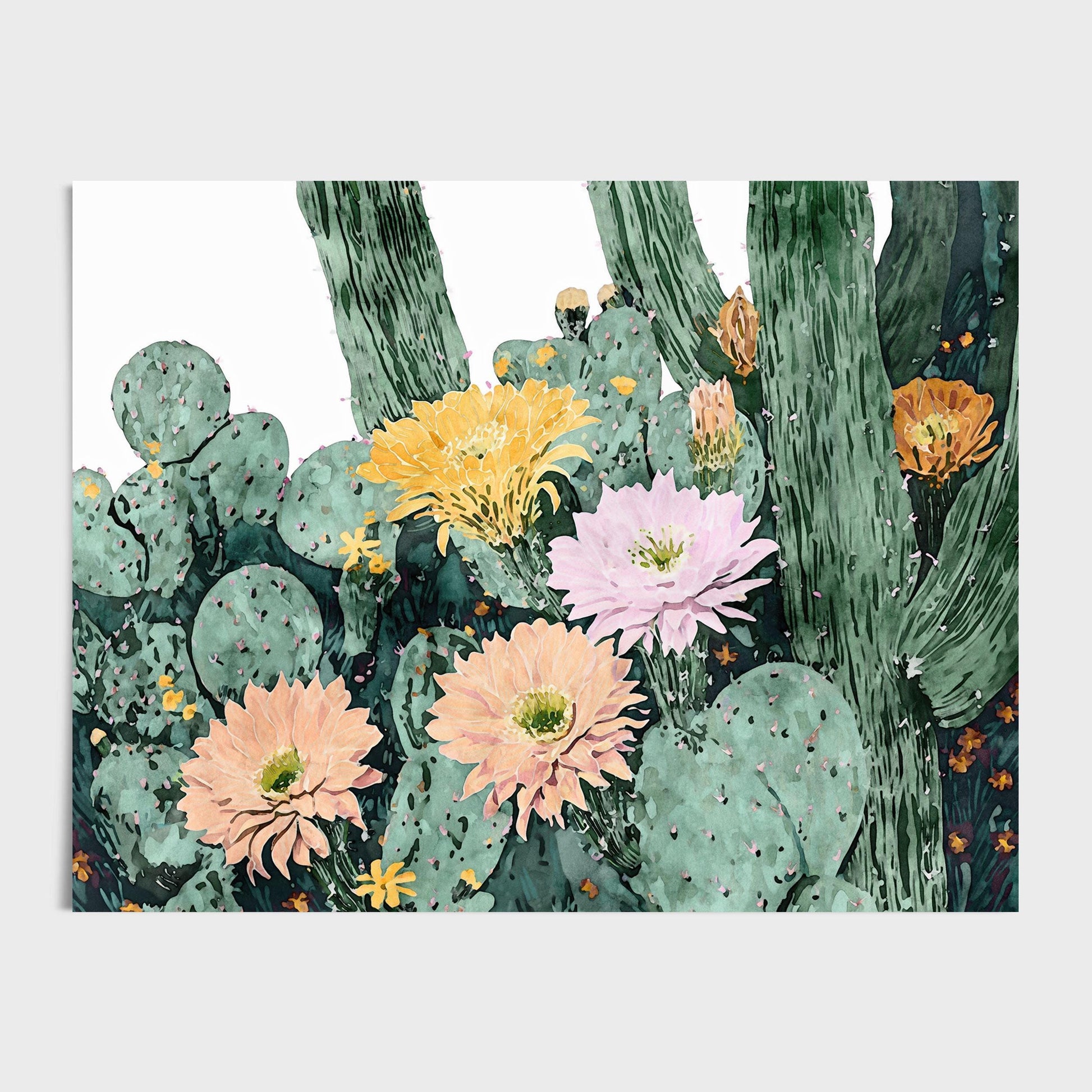 Watercolor illustration of blooming cacti, with green prickly pear pads and tall cactus stems adorned with large flowers in soft peach, pale pink, golden yellow, and warm orange hues, set against a clean white background.