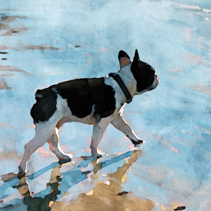 Pied French Bulldog Beach Note Card